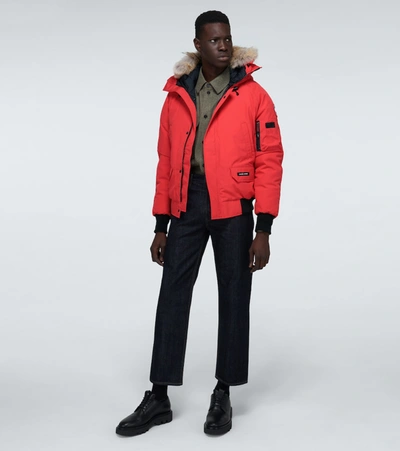 Shop Canada Goose Chilliwack Bomber Jacket In Red