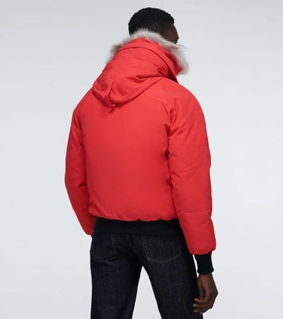 Shop Canada Goose Chilliwack Bomber Jacket In Red