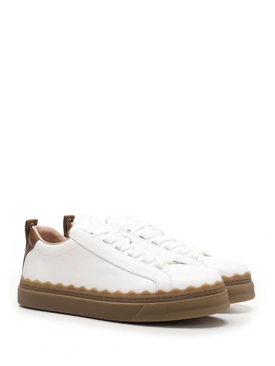 Shop Chloé Lauren Sneakers In White