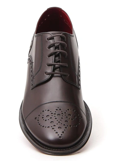 Shop Dolce & Gabbana Derby Brogue Shoes In Brown