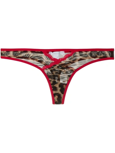 Shop Just Cavalli Leopard Print Thong In Brown