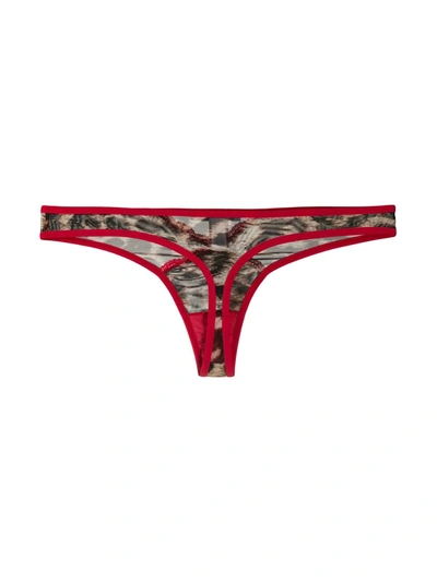 Shop Just Cavalli Leopard Print Thong In Brown