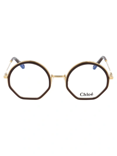 Shop Chloé Ce2143 Glasses In 210 Brown