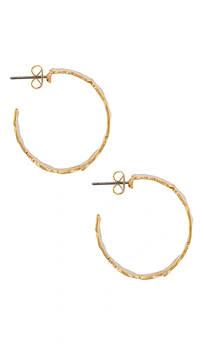 Shop Amber Sceats Hammered Hoop Earring In Gold