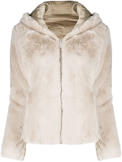 Shop Save The Duck D3354w Furyy Reversible Jacket In Neutrals