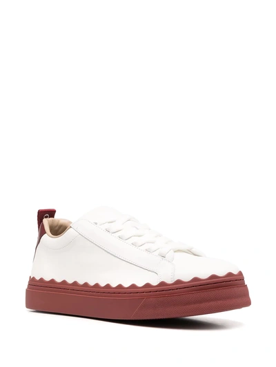 Shop Chloé Lauren Low-top Calf Leather Sneakers In White