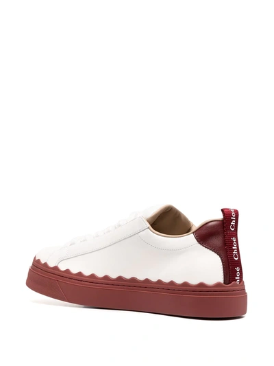 Shop Chloé Lauren Low-top Calf Leather Sneakers In White