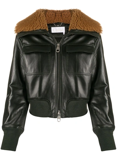 Shop Chloé Shearling-collar Leather Jacket In Green
