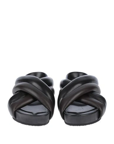 Jil Sander Sandals In Black