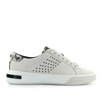 Shop Michael Kors Low-top Sneakers Codie In White