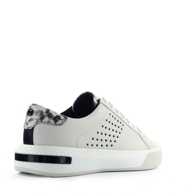 Shop Michael Kors Low-top Sneakers Codie In White