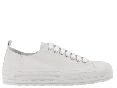 Shop Ann Demeulemeester Sneakers In White