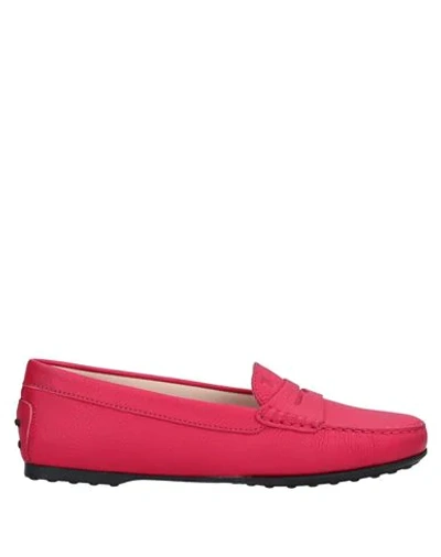 Shop Tod's Woman Loafers Fuchsia Size 8 Leather In Pink
