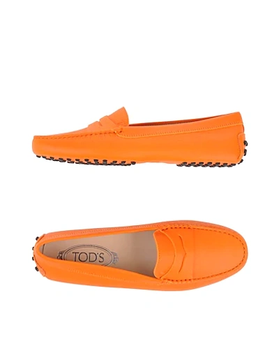 Shop Tod's Woman Loafers Orange Size 5.5 Calfskin