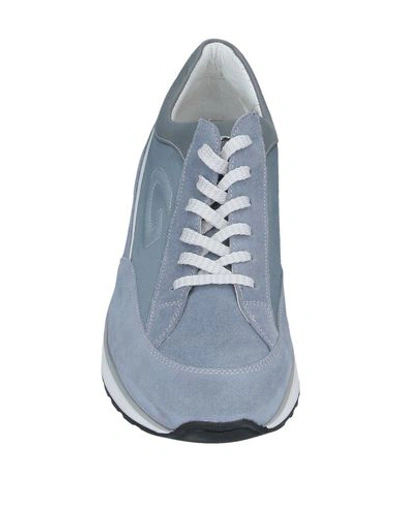 Shop Alberto Guardiani Sneakers In Slate Blue