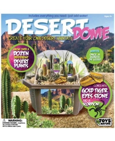 Toys By Nature Biosphere Terrarium - Desert Dome In No Color