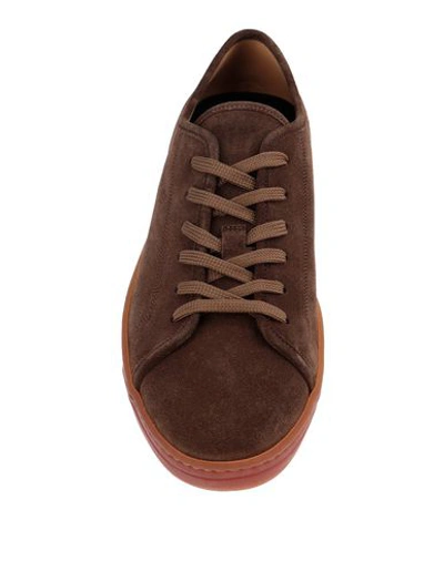 Rare Sneakers In Brown