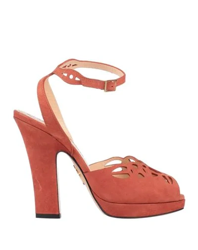 Shop Charlotte Olympia Sandals In Rust