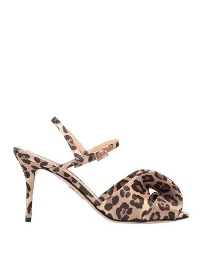 Shop Charlotte Olympia Sandals In Brown