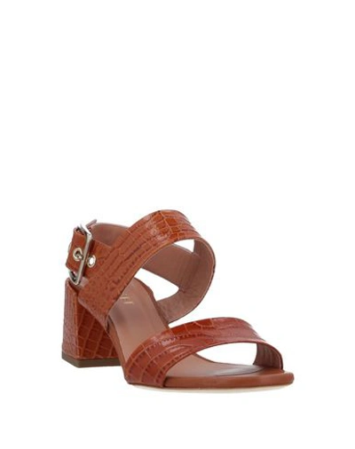 Shop Twinset Woman Sandals Tan Size 6 Soft Leather In Brown