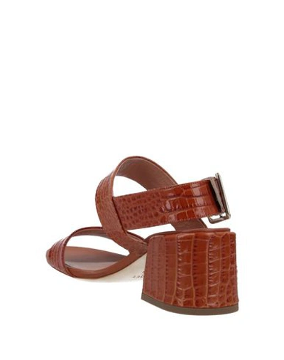 Twinset Sandals In Brown