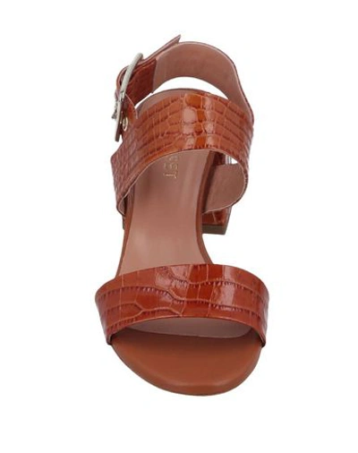 Shop Twinset Woman Sandals Tan Size 6 Soft Leather In Brown