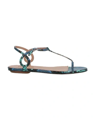Shop Aquazzura Toe Strap Sandals In Turquoise
