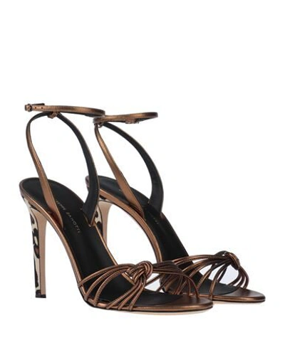 Giuseppe Zanotti Sandals In Bronze