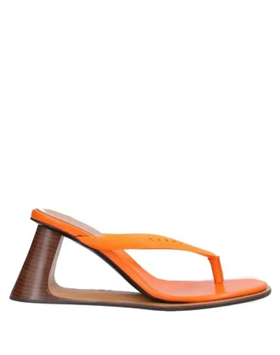 Shop Marni Toe Strap Sandals In Orange