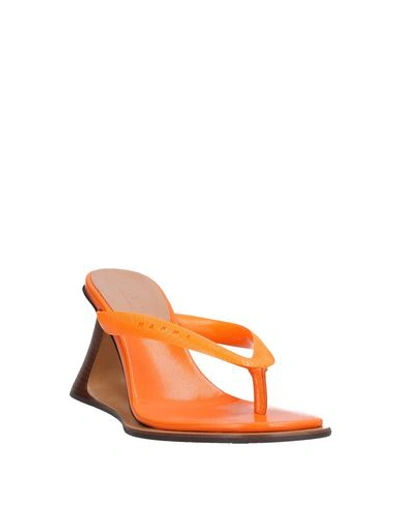 Shop Marni Toe Strap Sandals In Orange
