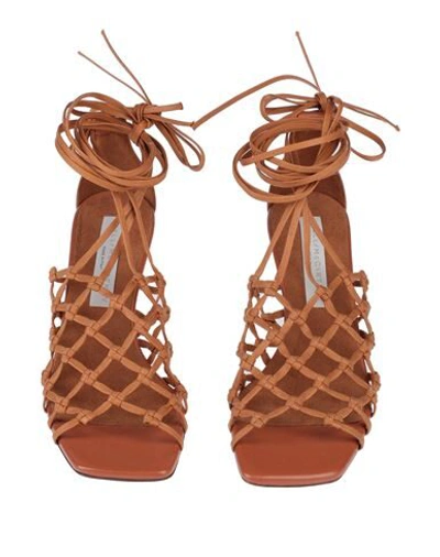 Shop Stella Mccartney Sandals In Brown