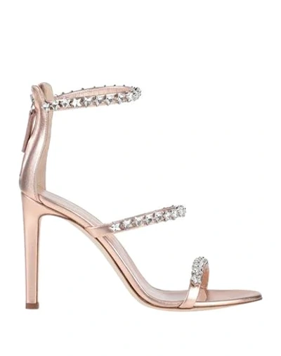 Shop Giuseppe Zanotti Sandals In Copper