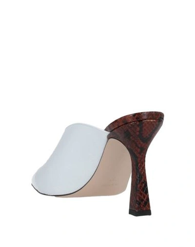 Shop Wandler Mules & Clogs In White