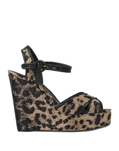 Shop Dolce & Gabbana Woman Sandals Sand Size 10.5 Viscose, Polyester, Lambskin
