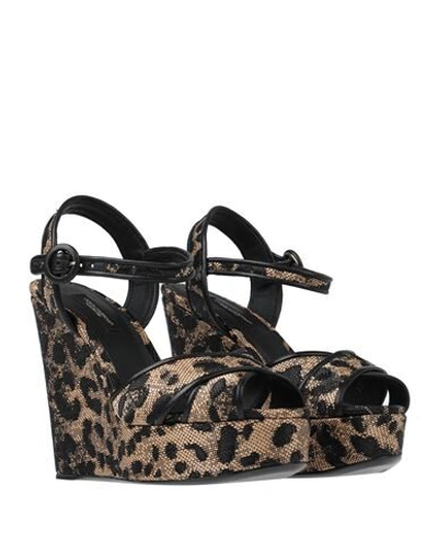 Dolce & Gabbana Sandals In Sand
