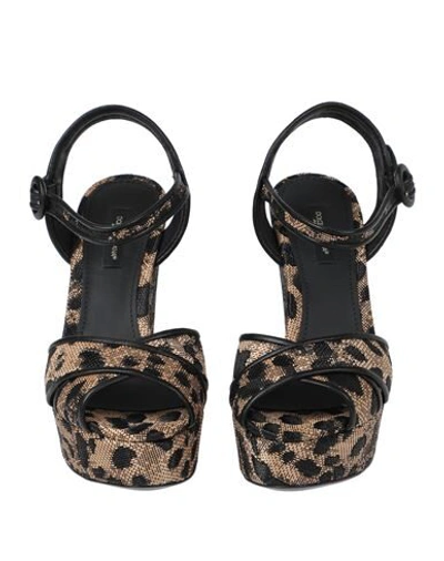 Dolce & Gabbana Sandals In Sand