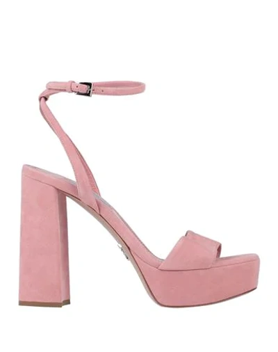 Shop Prada Sandals In Pink