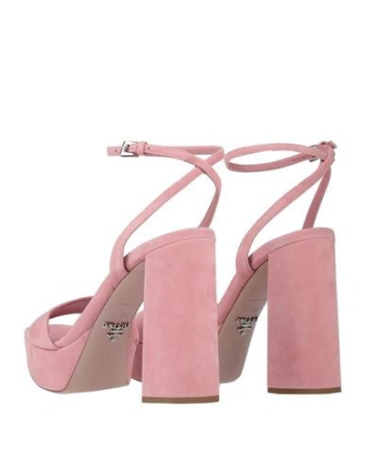 Shop Prada Sandals In Pink