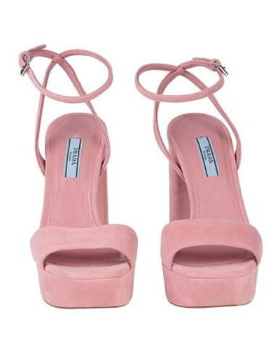 Shop Prada Sandals In Pink