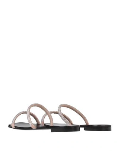 Shop Giuseppe Zanotti Sandals In Pink