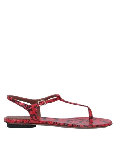 Shop L'autre Chose L' Autre Chose Woman Toe Strap Sandals Red Size 6 Soft Leather