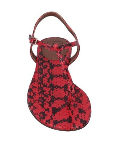 Shop L'autre Chose L' Autre Chose Woman Toe Strap Sandals Red Size 6 Soft Leather