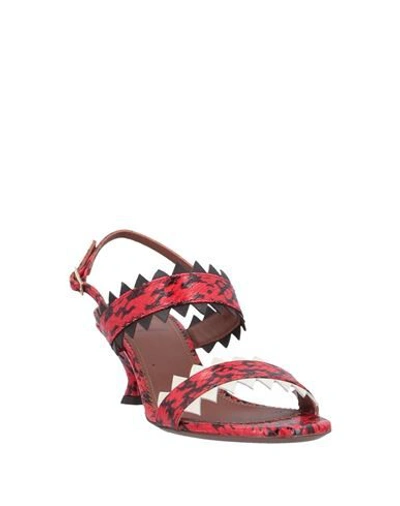 Shop L'autre Chose L' Autre Chose Woman Sandals Red Size 6 Soft Leather