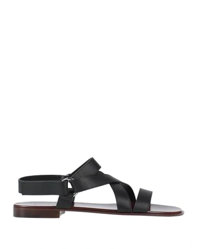 Shop Giuseppe Zanotti Sandals In Black