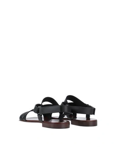 Shop Giuseppe Zanotti Sandals In Black