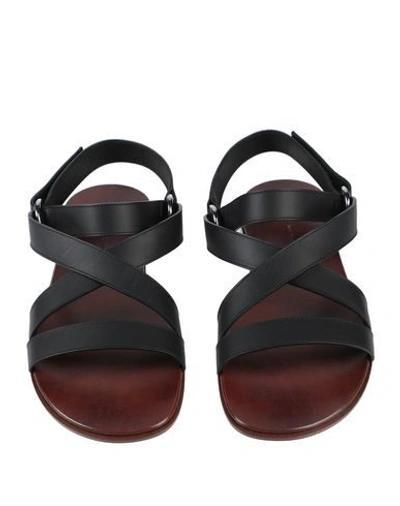 Shop Giuseppe Zanotti Sandals In Black