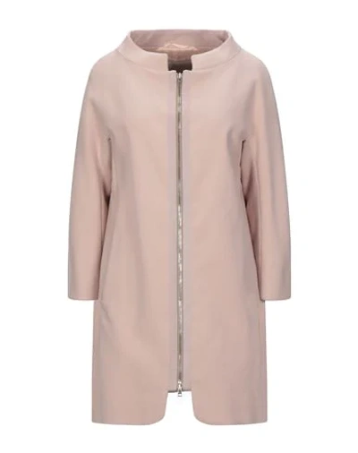 Shop Herno Woman Overcoat Blush Size 6 Cotton, Acetate In Pink