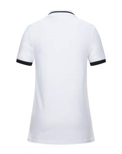 Shop Roberto Cavalli Man Polo Shirt White Size Xl Cotton