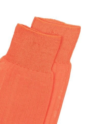 Shop Etro Short Socks In Orange