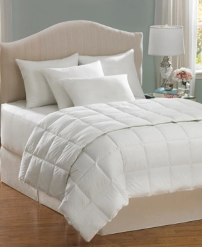 Shop Allerease Cotton Breathable Allergy Protection Comforter, King In White